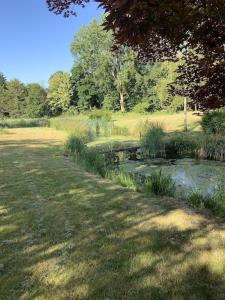 un campo de césped con un estanque en un parque en The Quackery, en Langport