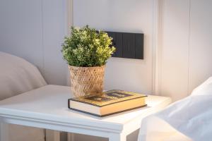 una mesa con dos libros y una planta en ella en PRINCIPE DE VERGARA ROOMS Lujo en el centro de Logroño en Logroño