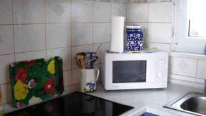 a kitchen counter with a microwave and a sink at Ferienhaus Baake in Mönkebude