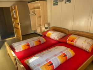 two beds in a room with two pillows on it at Via Alpsu 143 in Sedrun