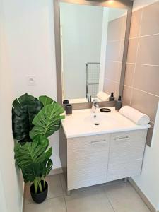 a bathroom with a sink and a mirror and a plant at Casa Rosa : appartement moderne avec balcon in Tassin-la-Demi-Lune
