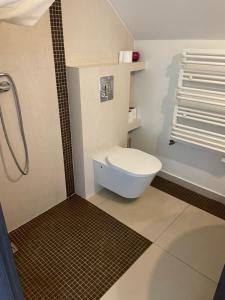 un bagno con wc e doccia di Agroturystyka nad stawami a Szemud Altre 65 foto