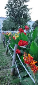 een rij banken gevuld met kleurrijke bloemen bij Danube Riverside Apartment with quite workplace in Bratislava