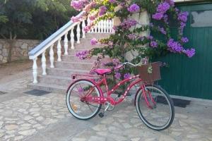 uma bicicleta rosa estacionada ao lado de algumas flores roxas em Apartment Dragica (A2), Pašman em Pasman