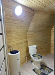 Elle comprend une petite salle de bains pourvue de toilettes et d'un mur en bois. dans l'établissement Shatyly Lake ViewGlamping, à Bokonbayevo