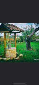 einen Pavillon mit einem Baum auf einem Feld in der Unterkunft Oasi di Francesca B&B in Pontinia