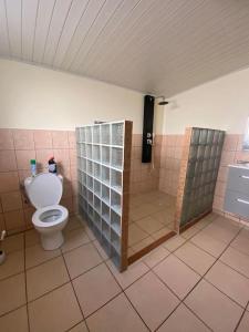 a bathroom with a toilet and a shower stall at Ti kaz Tata du sud Sauvage in Saint-Joseph