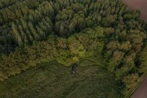 una vista aérea de un bosque con árboles y una carretera en Slow Cabin - Sint-Truiden, en Sint-Truiden
