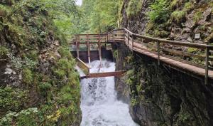 Paesaggio naturale nelle vicinanze dell'appartamento