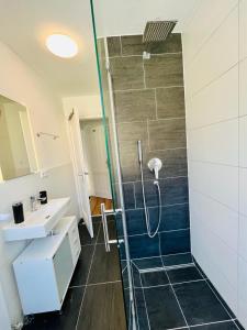 a bathroom with a shower and a sink at 3Rooms Central Modern- The Waterlily by SA-Grandeur in Friedrichshafen