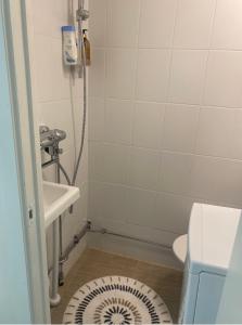 La petite salle de bains est pourvue d'un lavabo et de toilettes. dans l'établissement Upea yksiö Kotkan Katariinassa, à Kotka