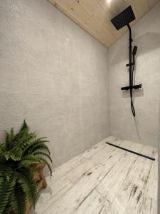 a room with a plant and a cross on the wall at Le chalet du lys avec bain scandinave Insolys in Gouvieux