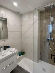y baño con ducha y lavamanos. en Nouveau - Le Perdu de Vue - Château, en Lichtenberg