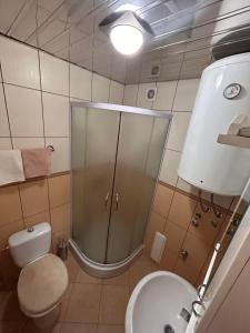 ein Bad mit einer Dusche, einem WC und einem Waschbecken in der Unterkunft Stan Aleksić in Šabac