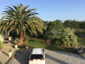 a white car parked next to a palm tree at Chambre d'hôtes Maison des 5 Fleurs in Heugas