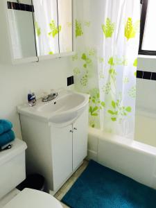uma casa de banho com um lavatório e uma cortina de chuveiro em Stylish Montreal Apartment: Comfortable Stay in the Golden Square Mile em Montreal