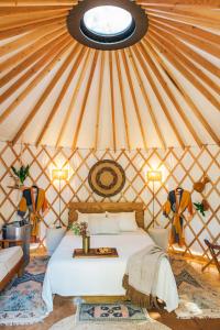 um quarto com uma cama numa tenda em Camposanto Glamping - The Macaw Yurt em Austin