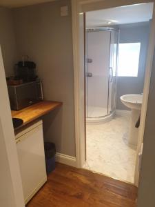 a bathroom with a shower and a sink and a microwave at Mezzanine studio apartment (U9) in London