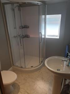 a bathroom with a shower and a toilet and a sink at Mezzanine studio apartment (U9) in London