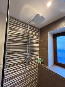 a bathroom with a shower with a television in it at Šumavský grunt in Podmokly