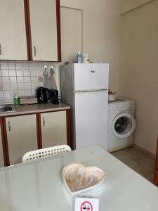 a kitchen with a white refrigerator and a washing machine at Stergios_Apartments 02 in Kozani