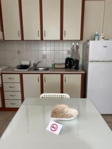 eine Küche mit einer weißen Theke und einem weißen Kühlschrank in der Unterkunft Stergios_Apartments 02 in Kozani