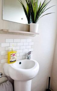 a bathroom with a white sink and a potted plant at Eden Breaks, Mallard Lake in Cirencester