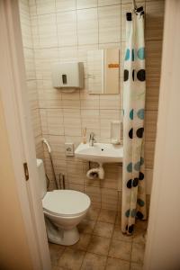 een kleine badkamer met een toilet en een wastafel bij Edgari Guesthouse in Otepää
