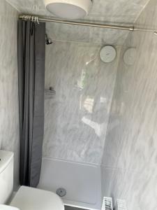 a bathroom with a shower with a toilet and a sink at Wind In The Willows Luxury Glamping in Peterborough