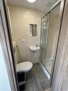 a bathroom with a toilet and a sink and a shower at Kwatery Smroków in Smroków