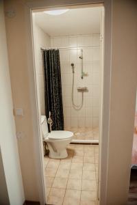 a bathroom with a toilet and a shower at Edgari Guesthouse in Otepää +31 photos