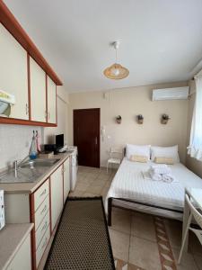 uma cozinha com uma cama e um lavatório num quarto em Stergios_Apartments 01 em Kozani