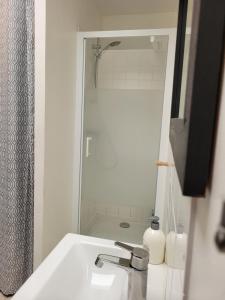 a bathroom with a sink and a shower with a mirror at Apt 2 du Temple HyperCentre & Parking in Cambrai