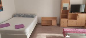TV a/nebo společenská místnost v ubytování Apartman Figaro pogled od milijun Dolara, 2 tuša, 2 WC