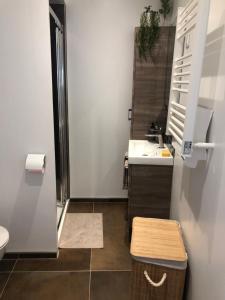 ein kleines Bad mit einem Waschbecken und einem WC in der Unterkunft Studio Amis de la Moselle 