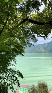 a view of a large body of water with trees at Punta Santa Maria in Santa María del Oro