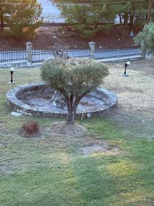 a tree sitting in a fountain in a park at Archontiko Alexandros Luxury Suites in Kardiá