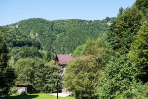 a house in the middle of a mountain with trees at Oasis Mountain Villa in Braşov