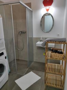 a bathroom with a shower and a washing machine at Private Parking-Top Retreat Residence in Vienna - Long Stays available in Vienna