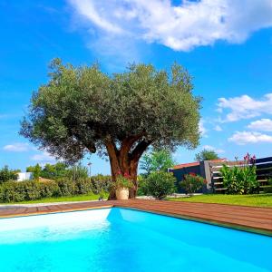 a tree next to a swimming pool with a tree at Maison neuve et chaleureuse in Morcenx +6 photos