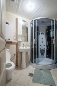 ein Bad mit einer Dusche, einem WC und einem Waschbecken in der Unterkunft Apartment Maksi-Centar in Zlatibor