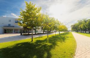 une rangée d'arbres devant un bâtiment dans l'établissement Hotel Gerardus, à Szeged