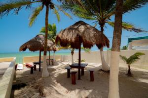 a beach with chairs and umbrellas and palm trees at Hotel Flamingos Inn in Chuburná
