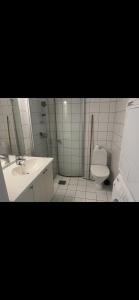 bagno con lavandino e servizi igienici di Oslo Center 5 a Oslo