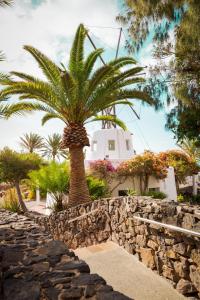 Сад в ROBINSON ESQUINZO PLAYA - All Inclusive