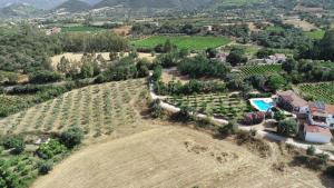 eine Luftansicht eines Bauernhofs mit einem Haus und einem Pool in der Unterkunft Domo Mea in Cardedu