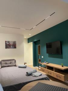 ティラナにあるDowntown Studio Apartmentsのベッドルーム(ベッド1台、薄型テレビ付)