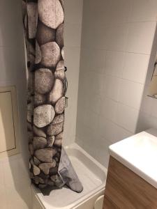 a bathroom with a shower curtain with rocks on it at Studio Tignes Val Claret in Tignes