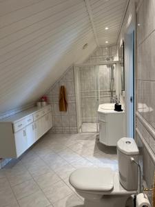 y baño con aseo y lavamanos. en Lovely apartment in maritime surroundings near Stavanger en Stavanger