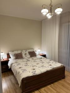 sypialnia z dużym łóżkiem i 2 szafkami nocnymi w obiekcie Apartament Sielawy 21 w Poznaniu